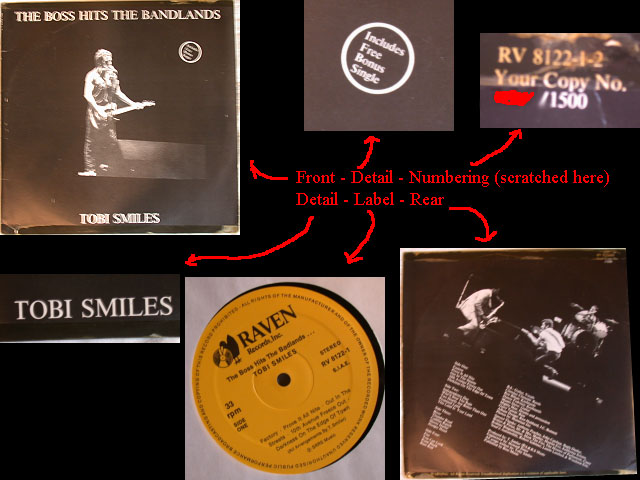 Bruce Springsteen - BOSS HITS THE BADLANDS (THE)